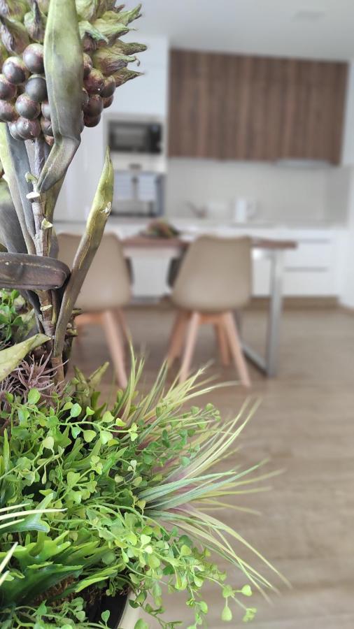 Apartmany Na Vyhlidce Paseka  ภายนอก รูปภาพ